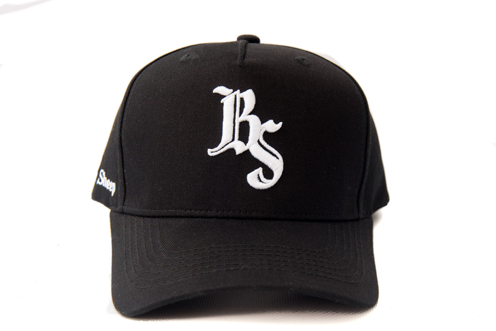 Basic BS Embroidered Hat